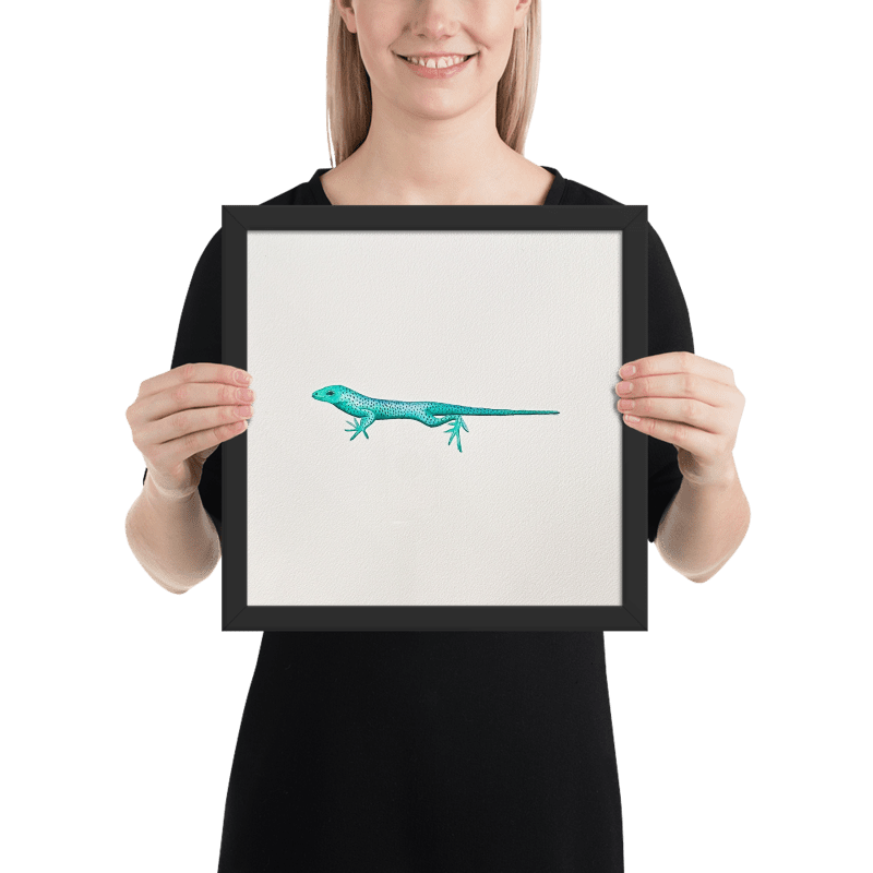 Anolis Framed Watercolor Painting